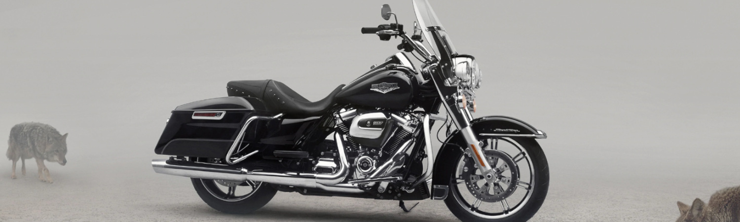 2020 Harley-Davidson® Touring King for sale in Lawless Harley-Davidson®, Scott City, Missouri